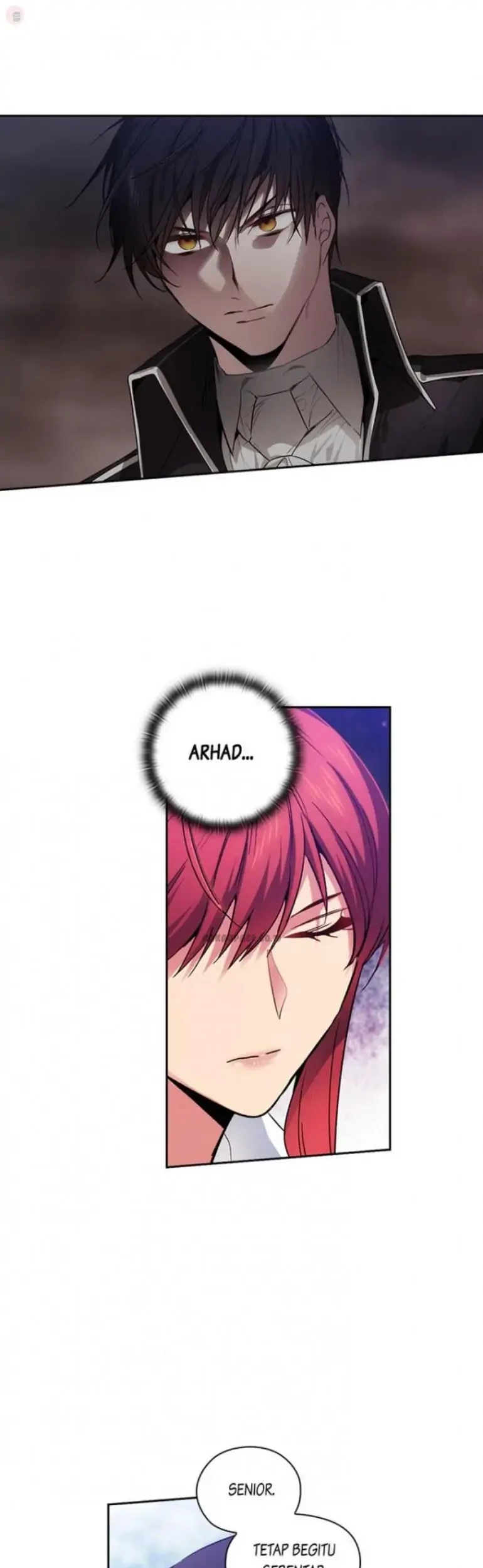 ADONIS Chapter 100 page 30