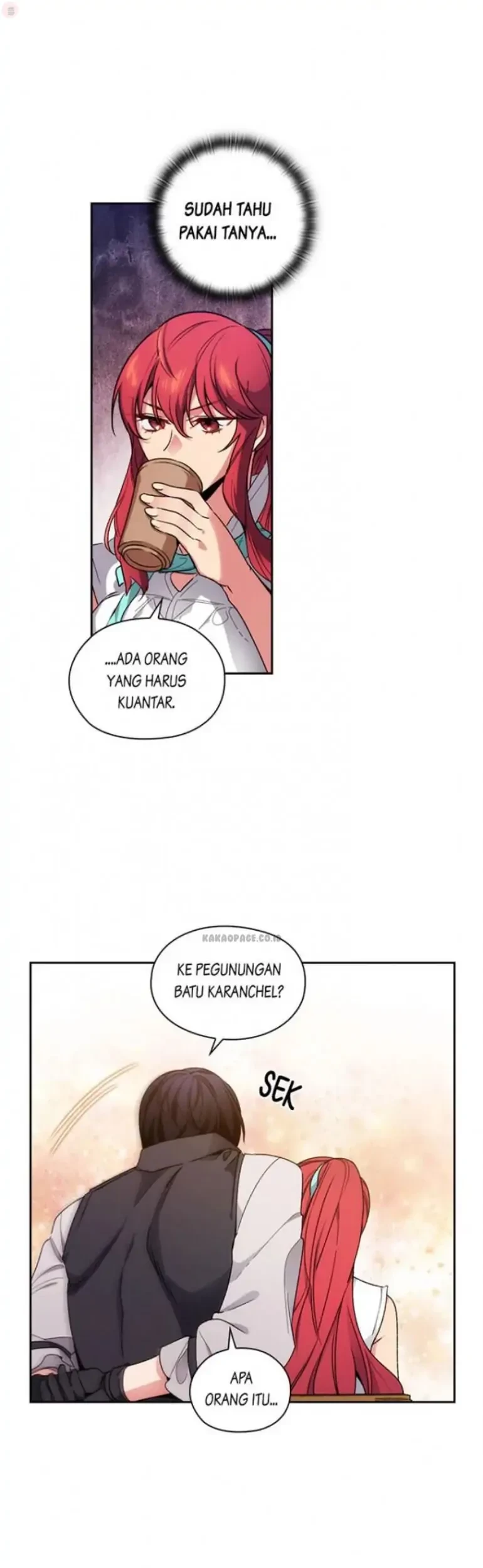 ADONIS Chapter 96 page 41