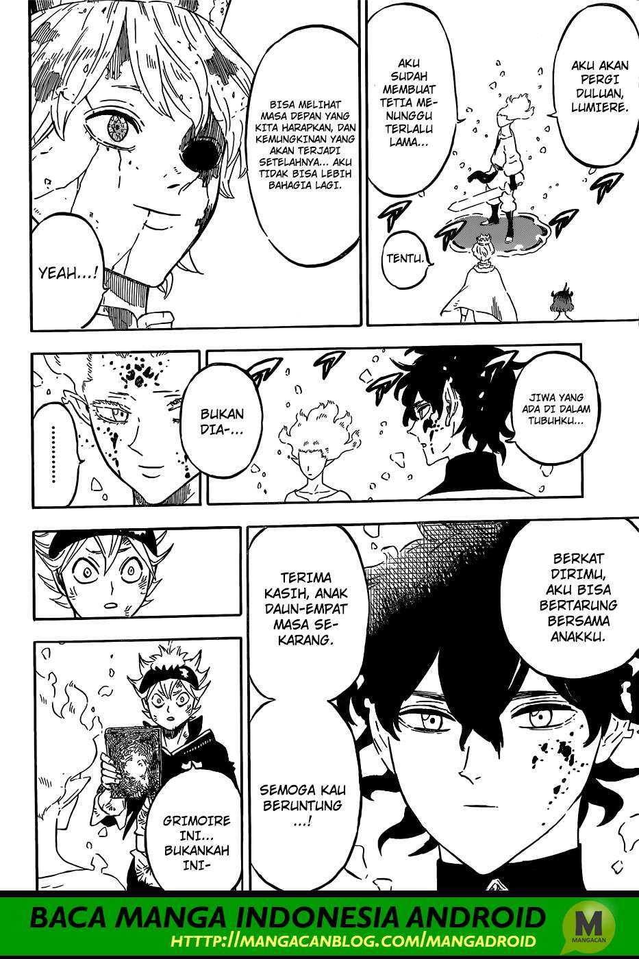 Black Clover Chapter 213 page 14