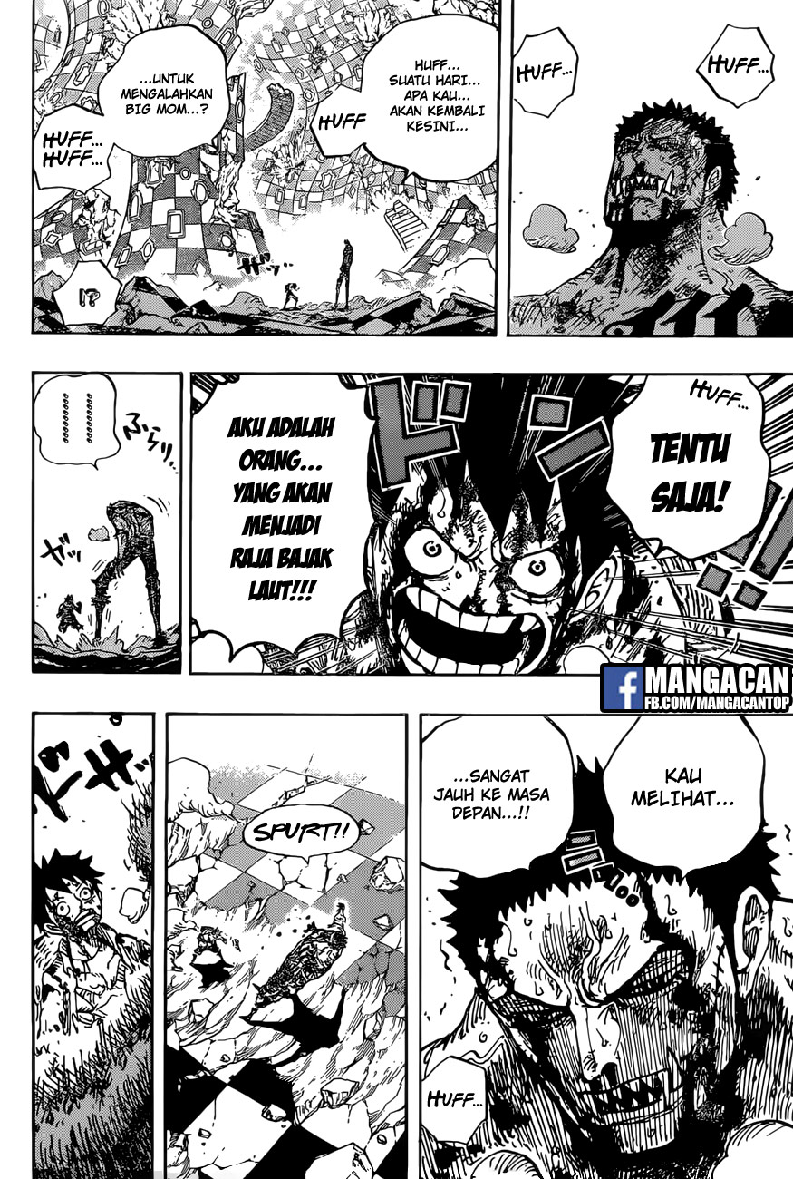 One Piece Chapter 896 page 14