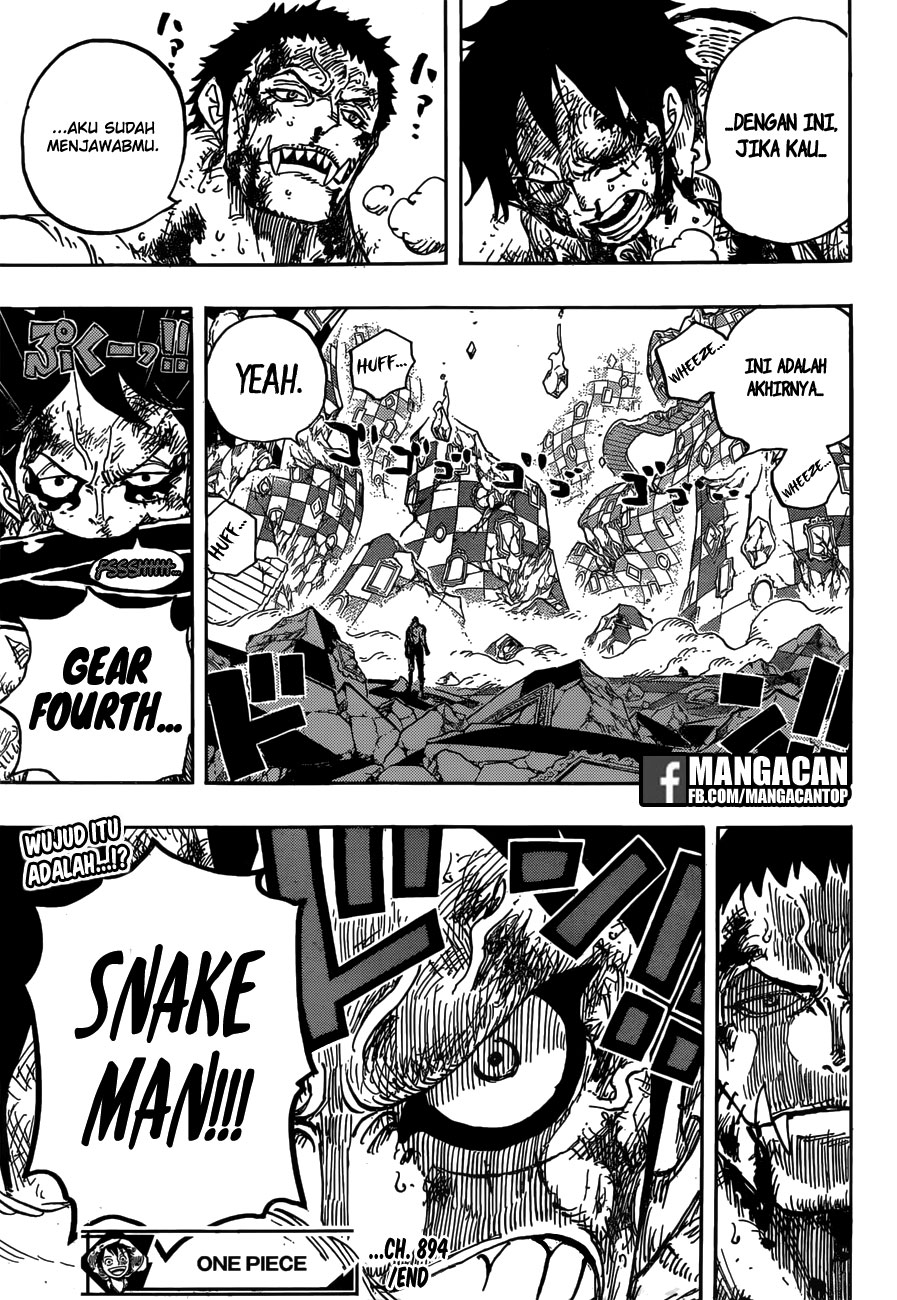 One Piece Chapter 894 page 17