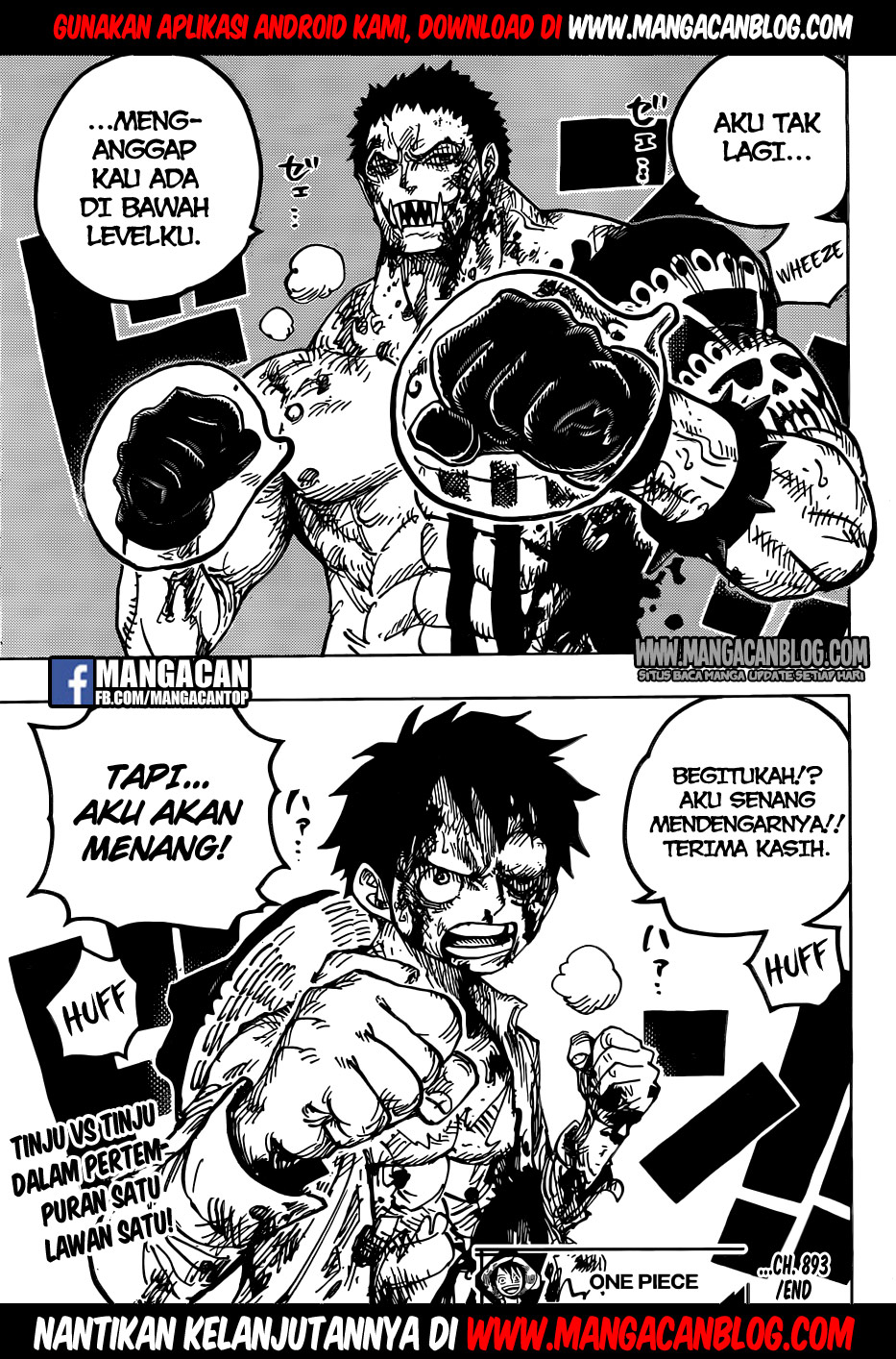 One Piece Chapter 893 page 18