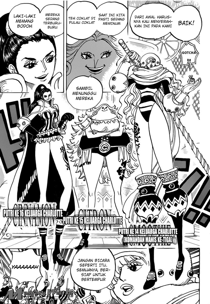 One Piece Chapter 892 page 11