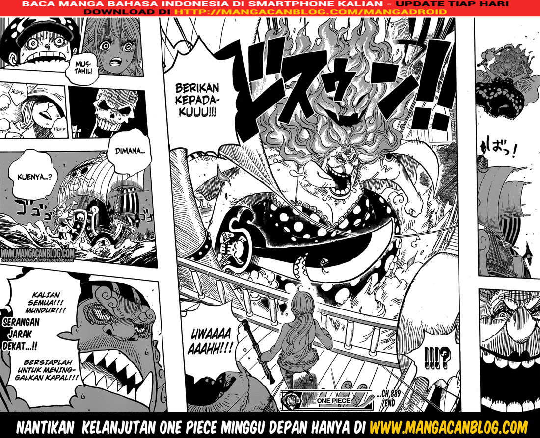 One Piece Chapter 889 page 17