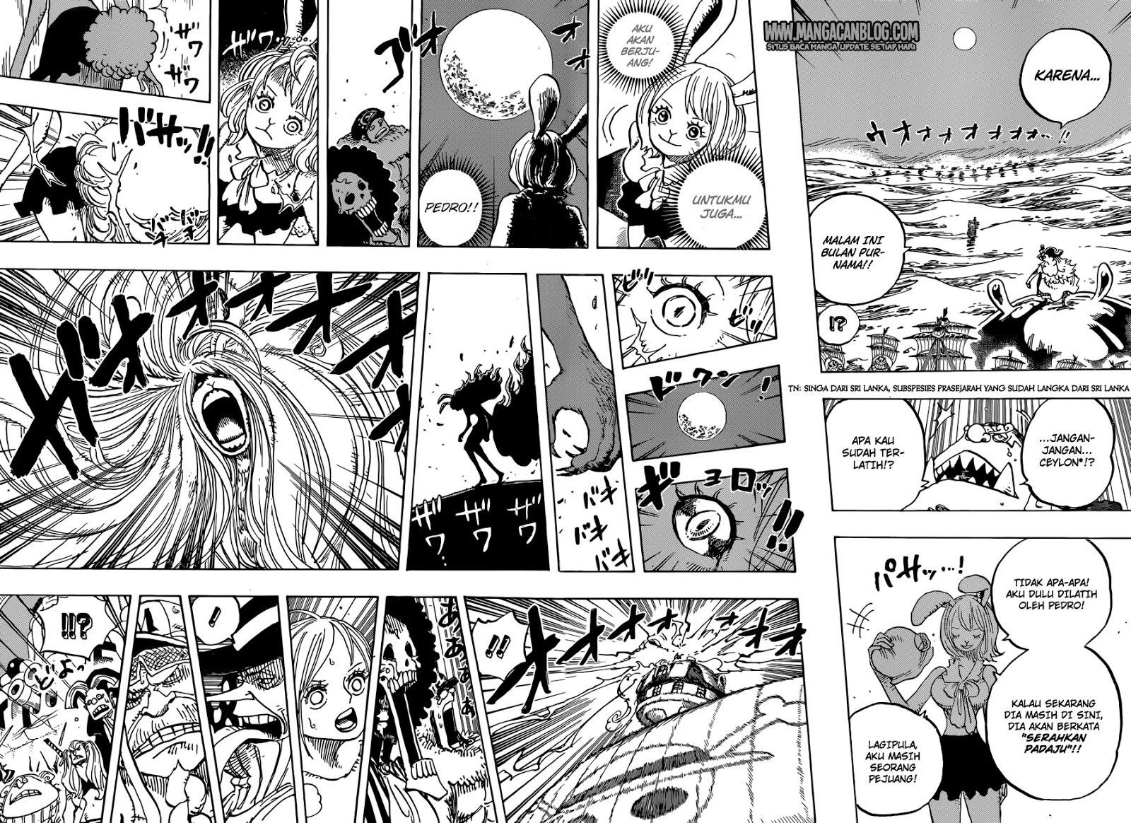 One Piece Chapter 888 page 9