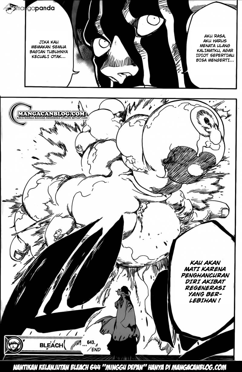 Bleach Chapter 643 page 17