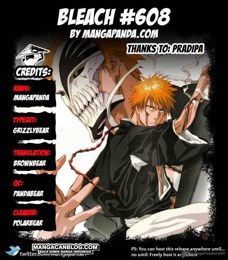 Bleach Chapter 608 page 17