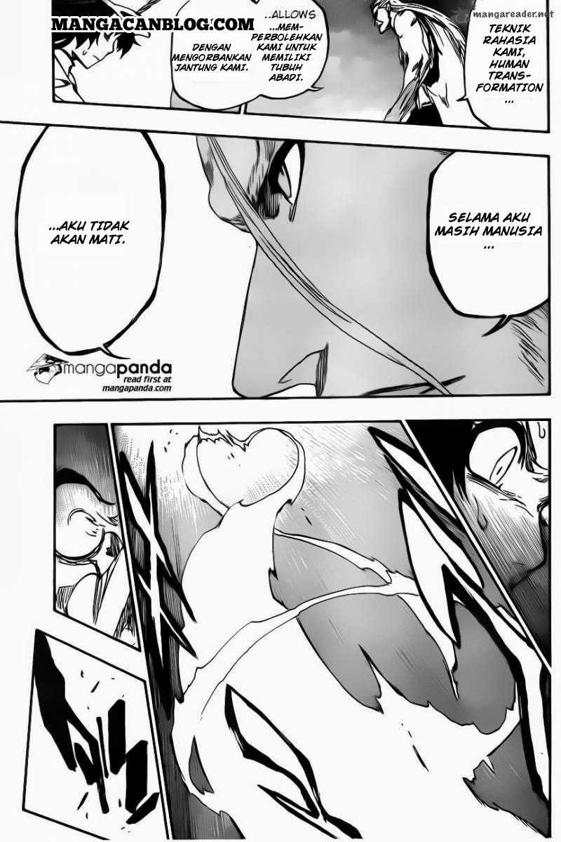 Bleach Chapter 557 page 15
