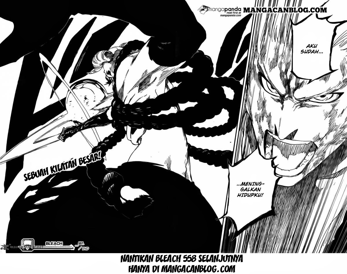 Bleach Chapter 557 page 18