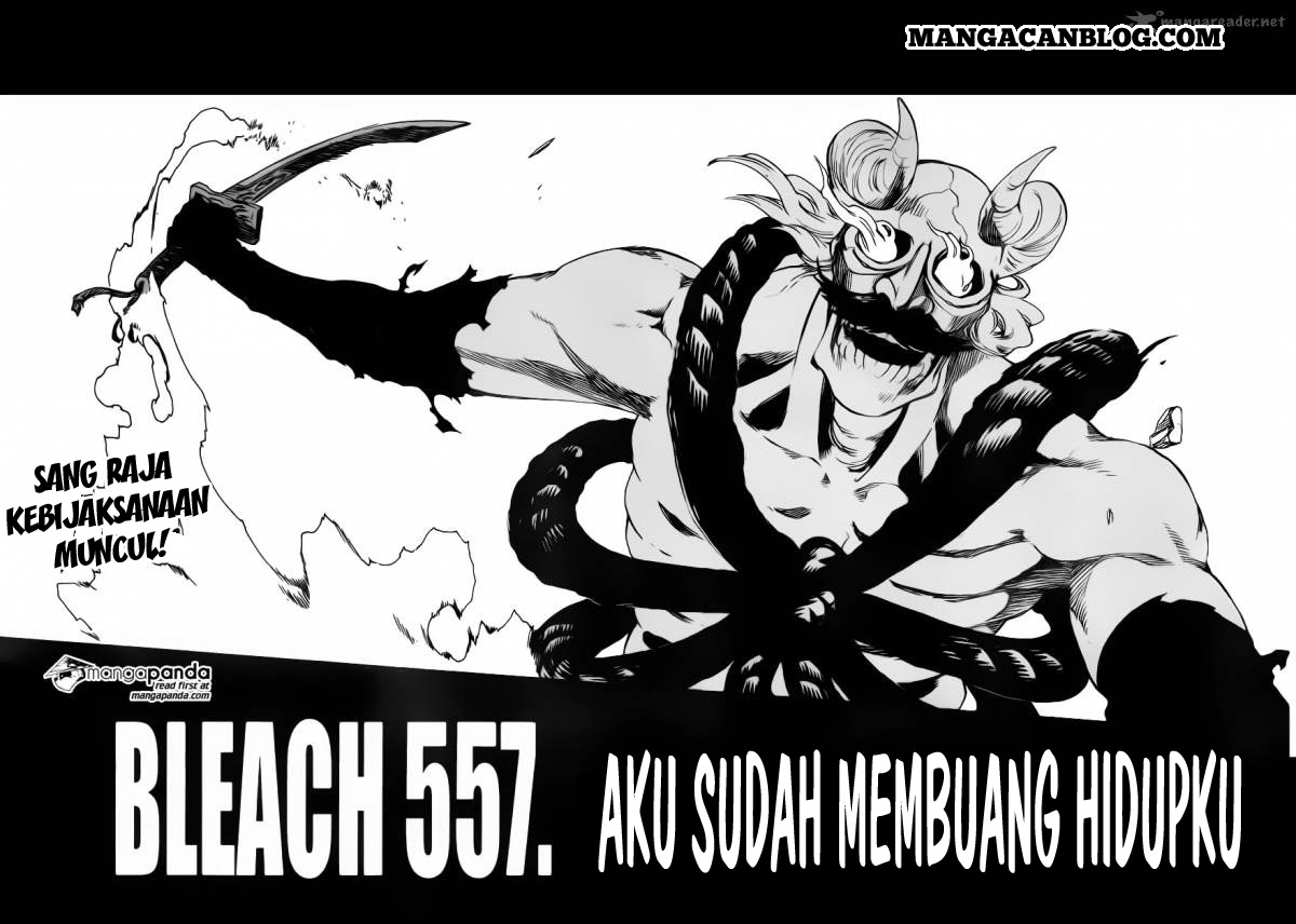 Bleach Chapter 557 page 5