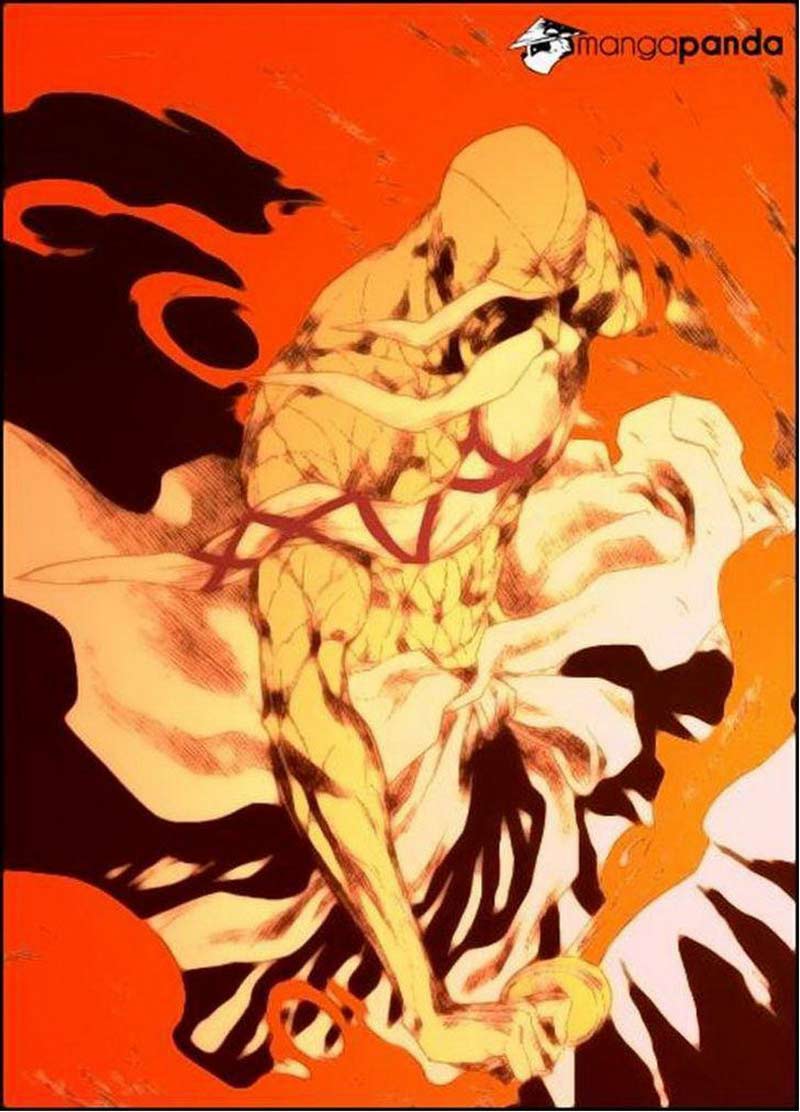 Bleach Chapter 509 page 17