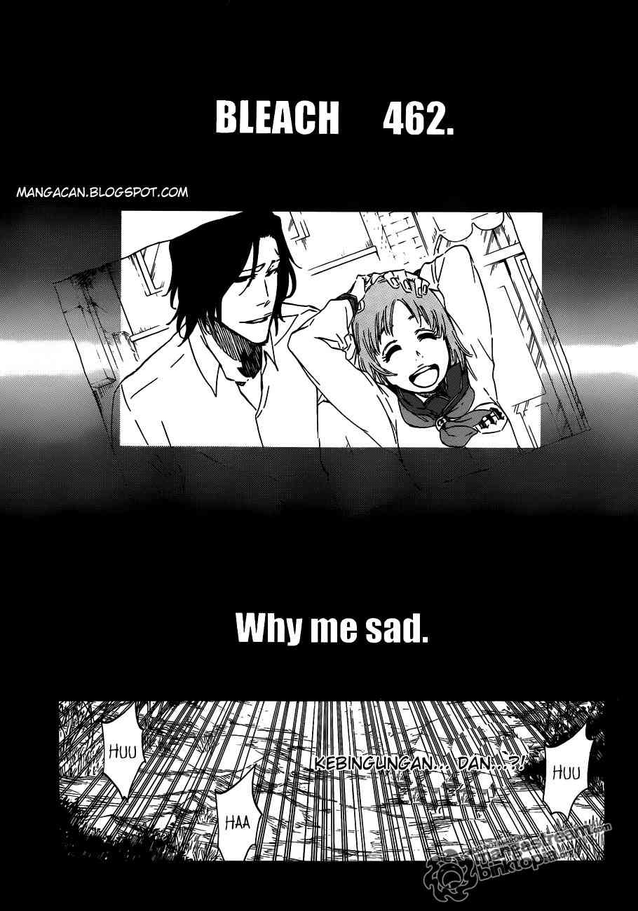 Bleach Chapter 462 page 6
