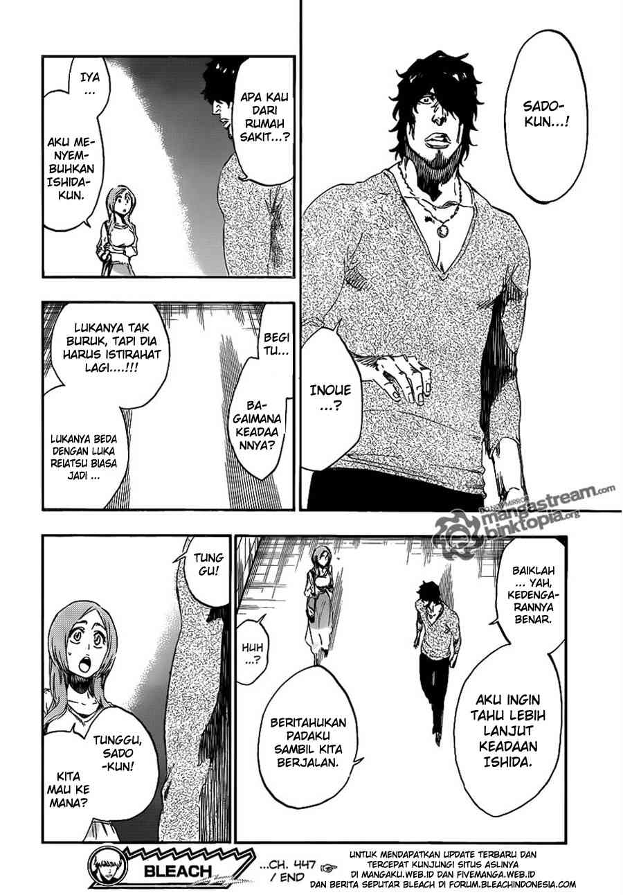 Bleach Chapter 447 page 17