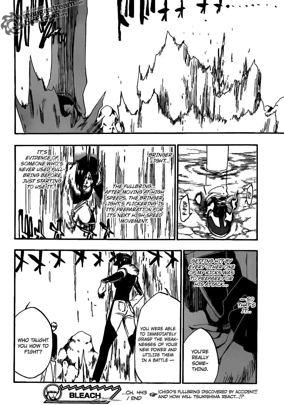 Bleach Chapter 443 page 19