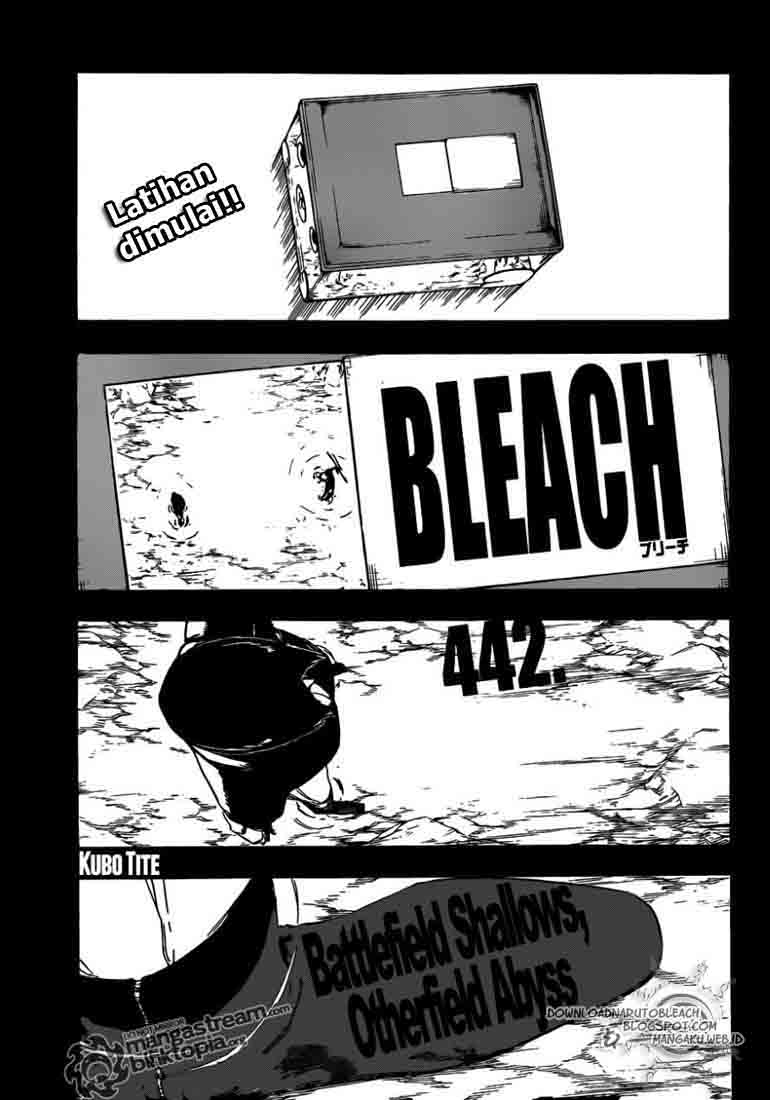 Bleach Chapter 442 page 3