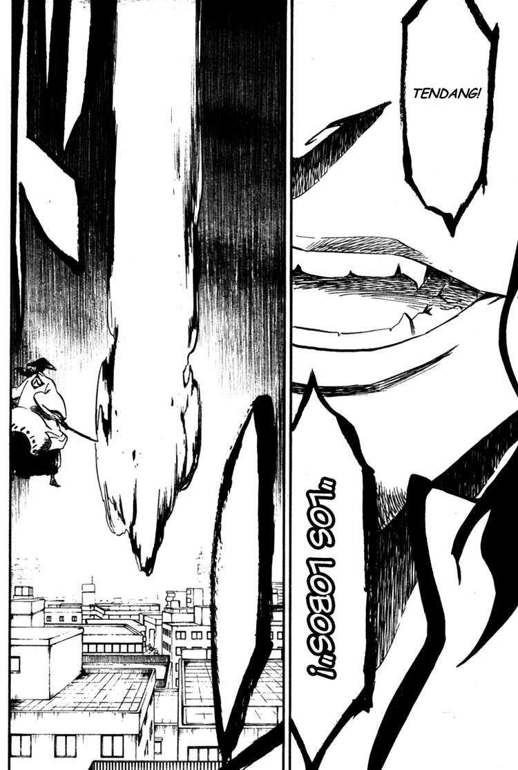 Bleach Chapter 361 page 16