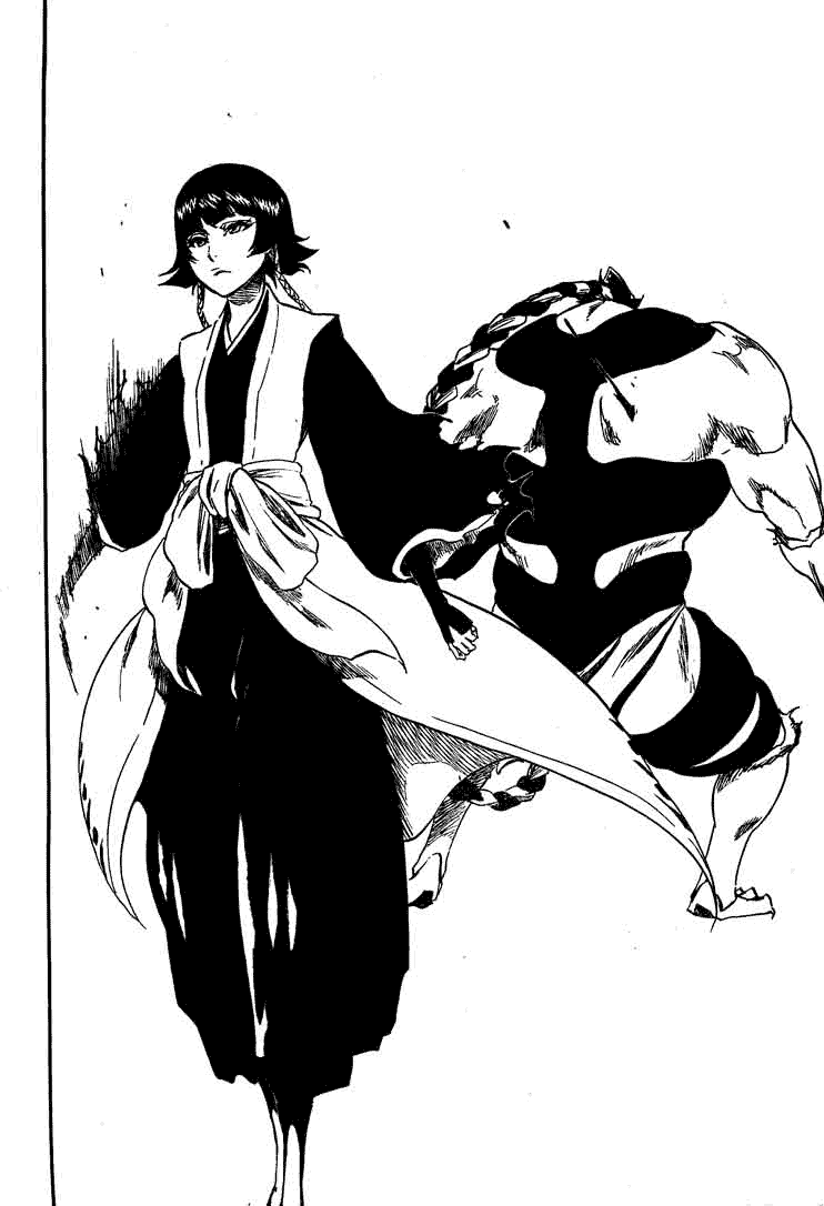 Bleach Chapter 333 page 9