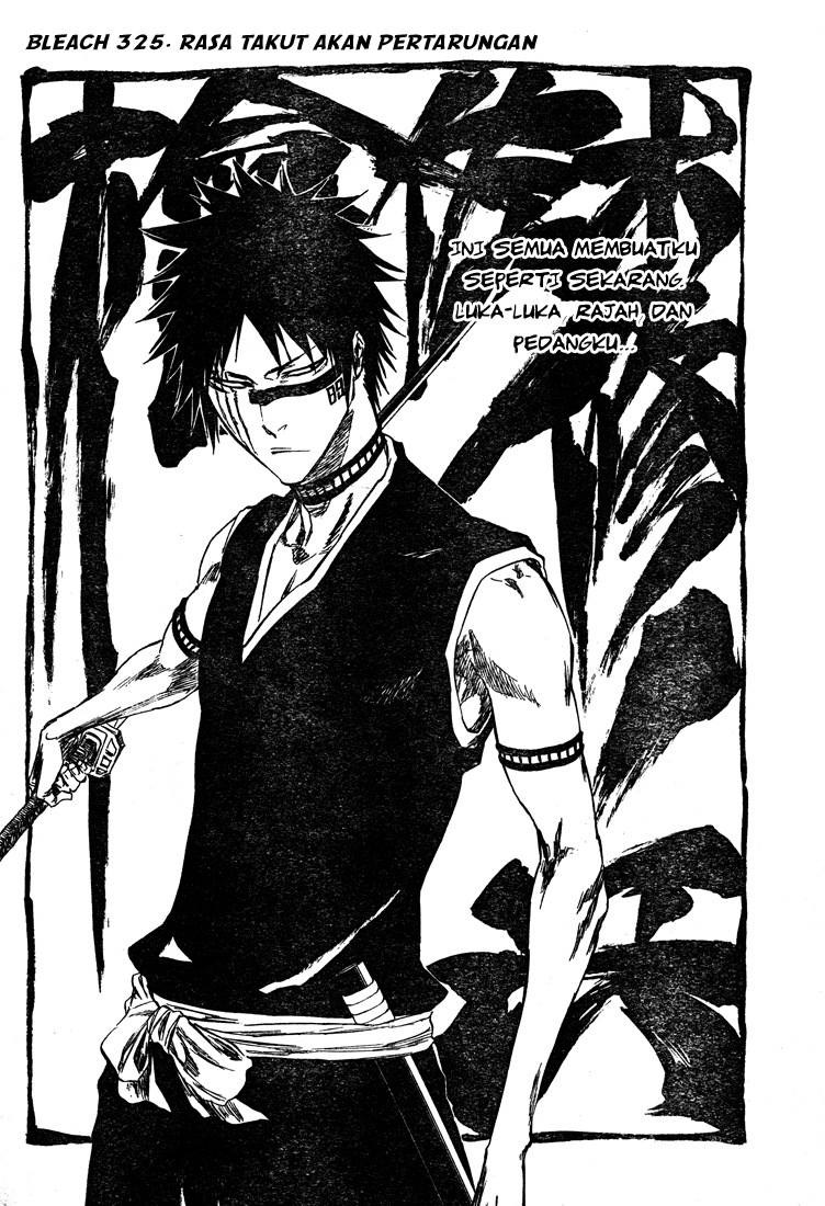 Bleach Chapter 325 page 6