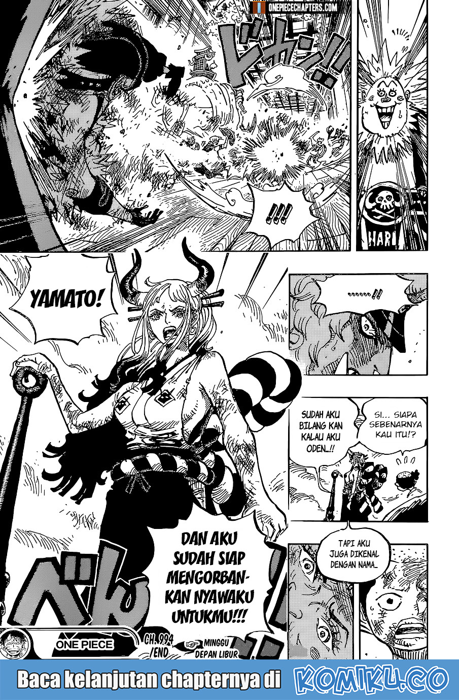 One Piece Chapter 994 page 17
