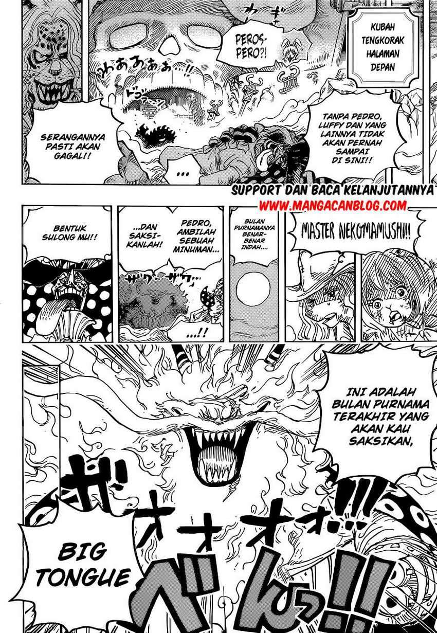 One Piece Chapter 1023 page 14