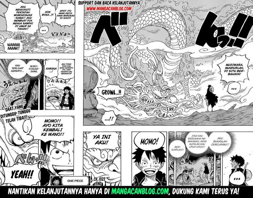 One Piece Chapter 1023 page 16