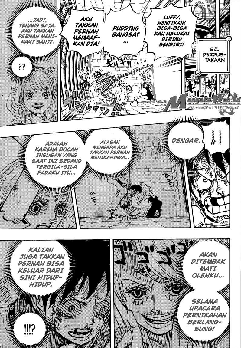 One Piece Chapter 850 page 17