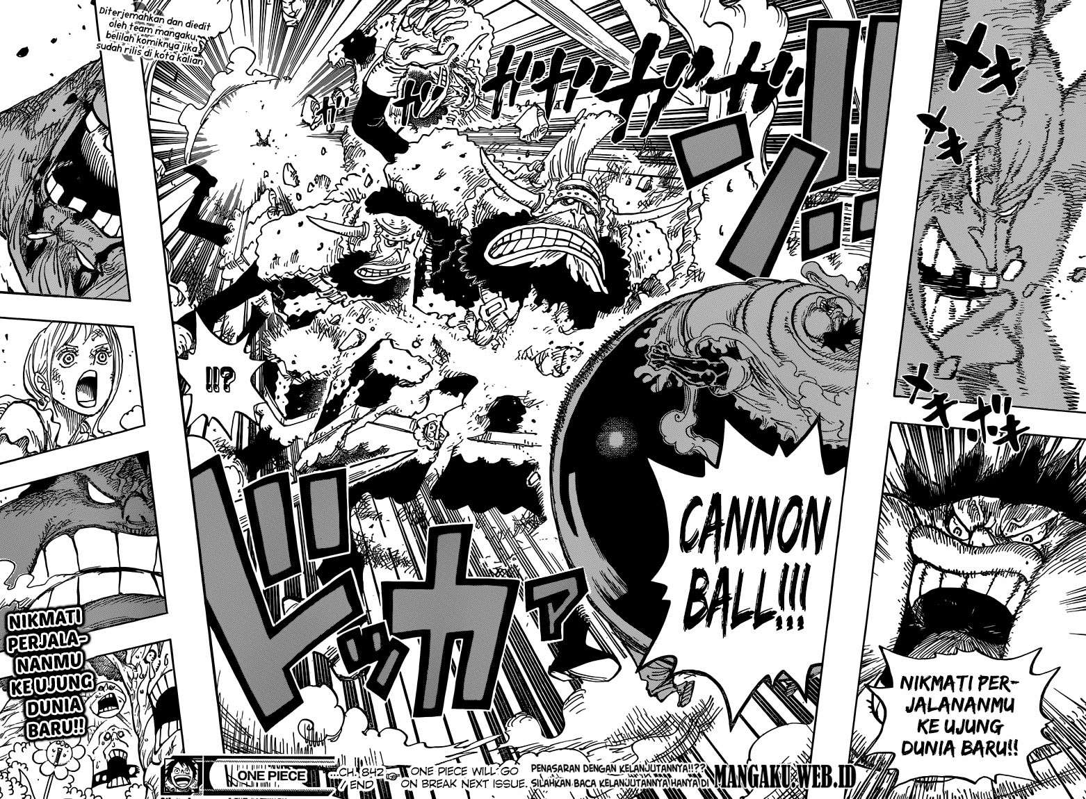 One Piece Chapter 842 page 14
