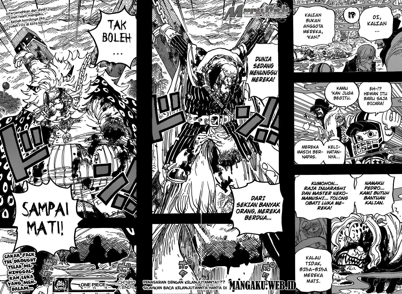 One Piece Chapter 810 page 20