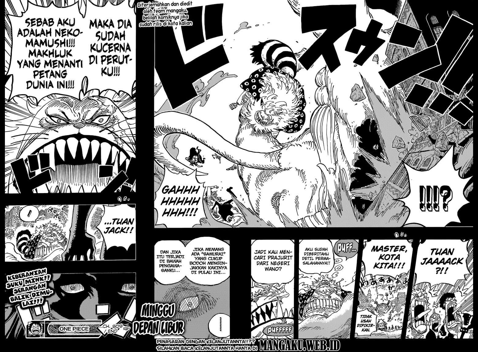 One Piece Chapter 809 page 18