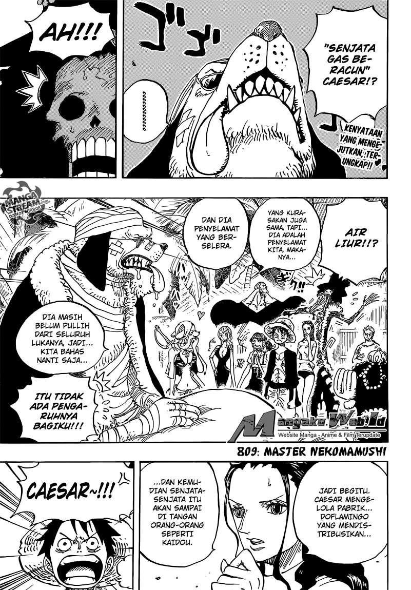 One Piece Chapter 809 page 5