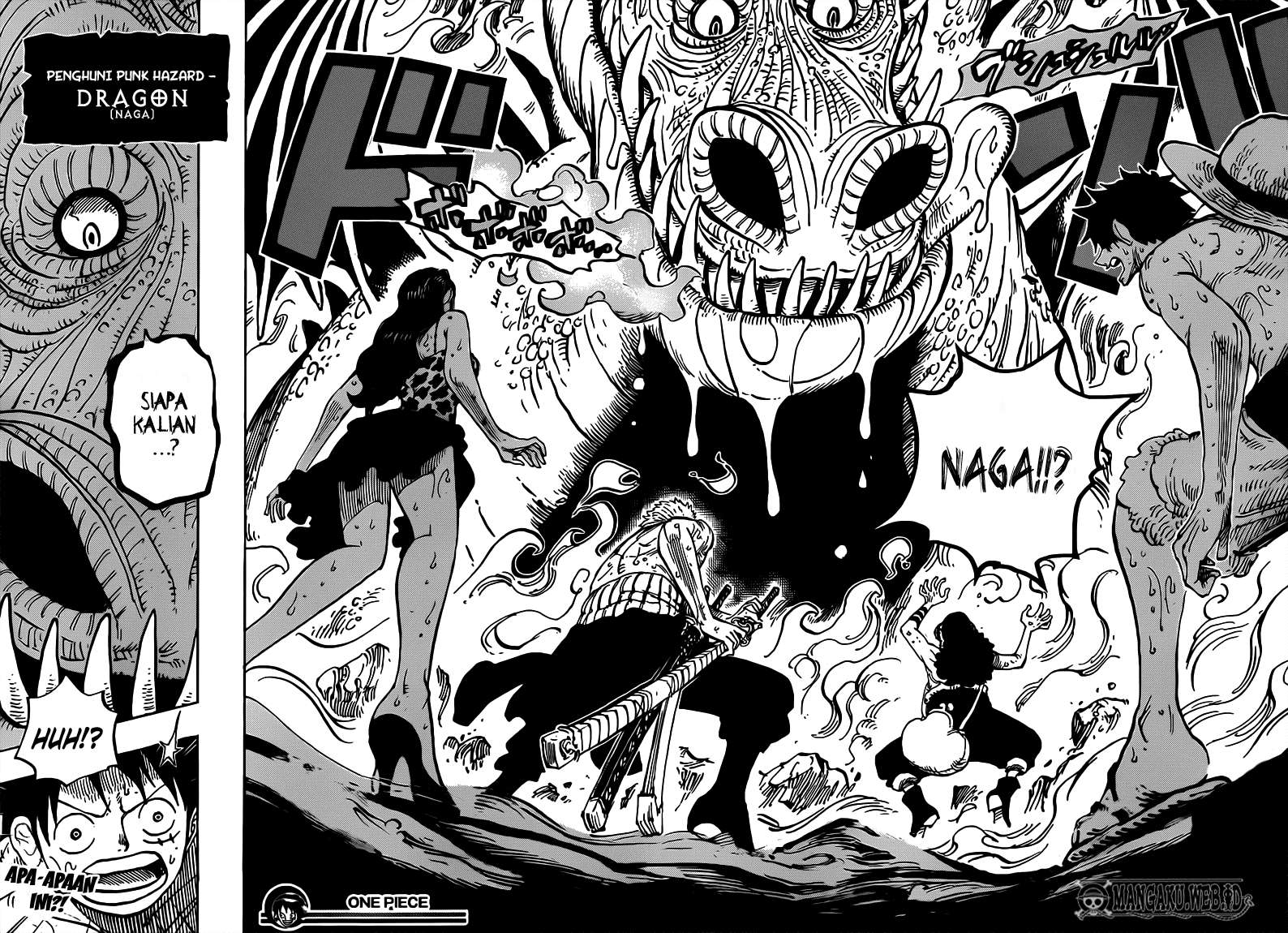 One Piece Chapter 655 page 19