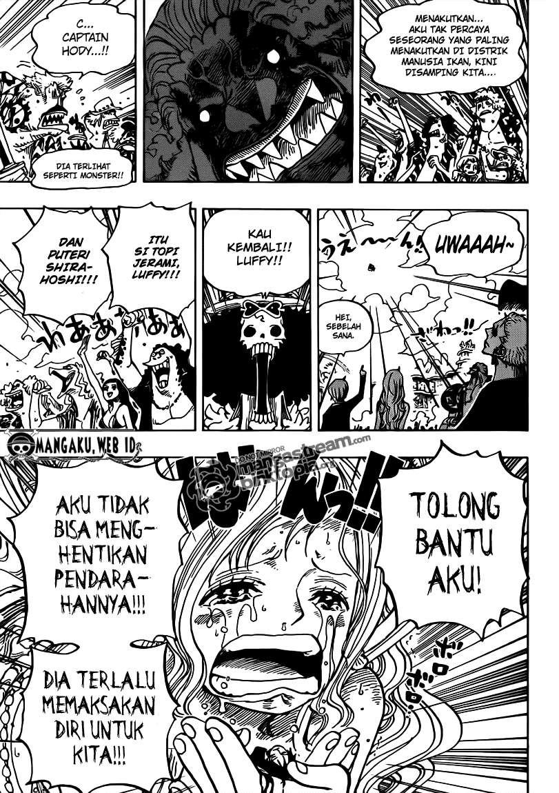 One Piece Chapter 648 page 13