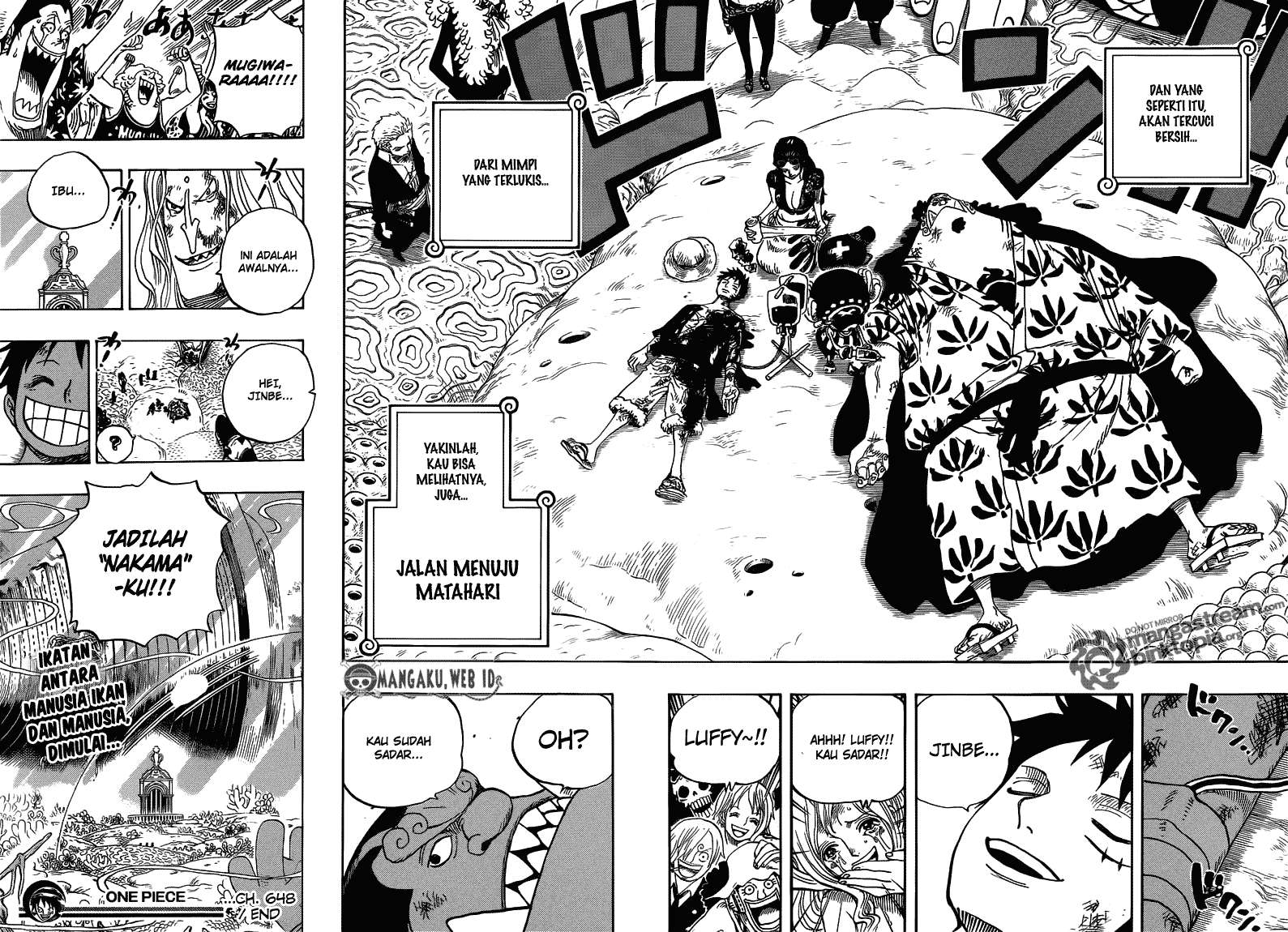 One Piece Chapter 648 page 18