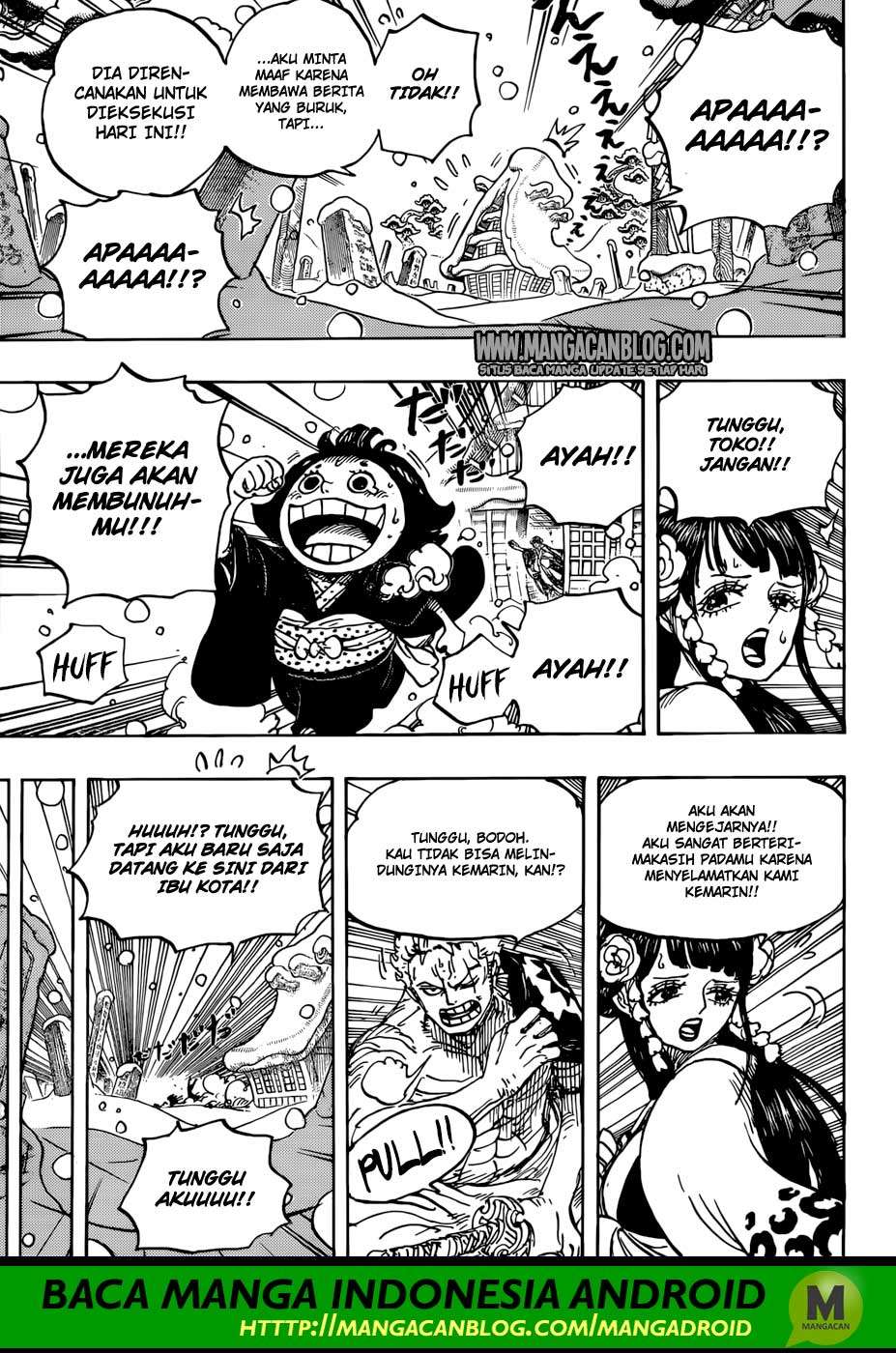 One Piece Chapter 941 page 14