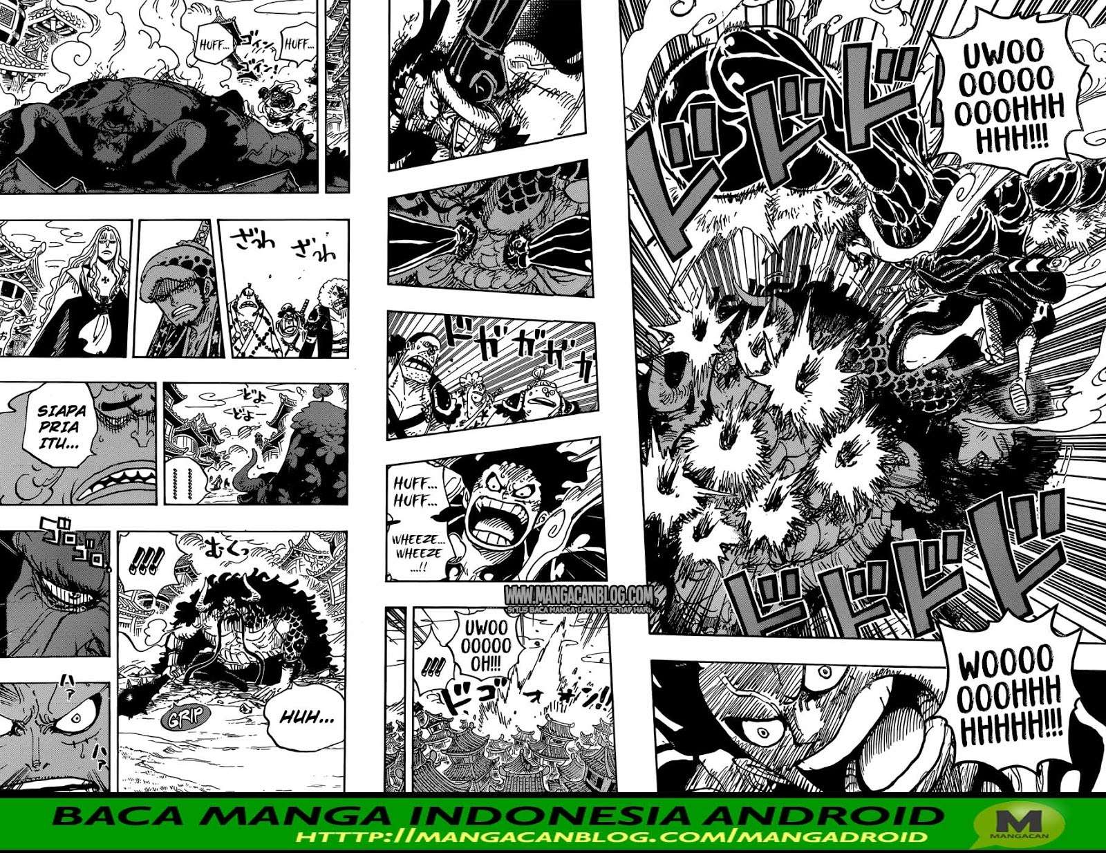 One Piece Chapter 923 page 13