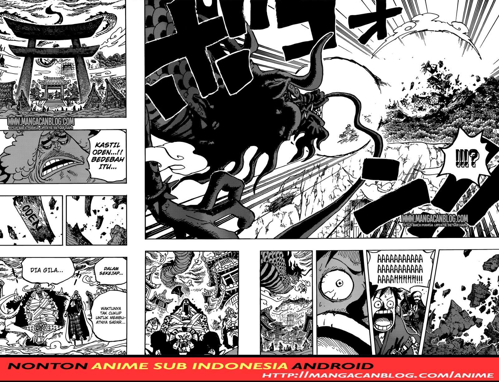 One Piece Chapter 922 page 14