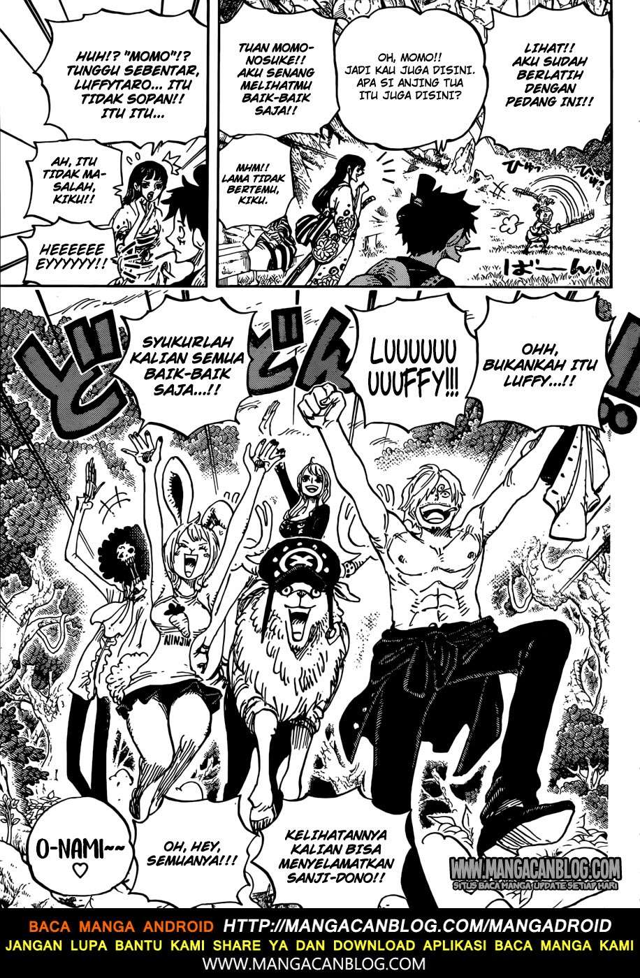 One Piece Chapter 919 page 14