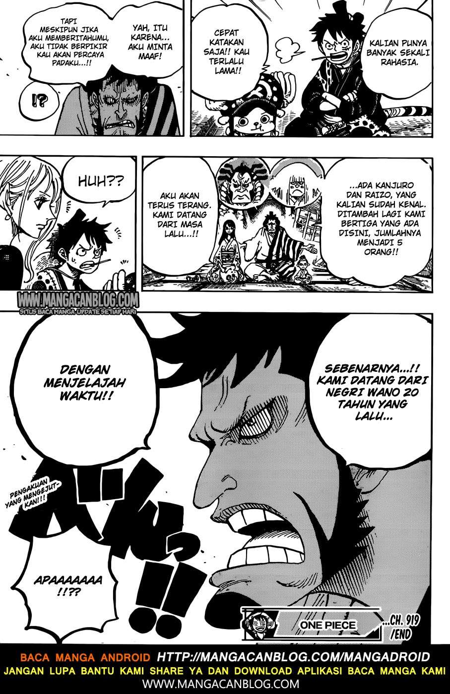 One Piece Chapter 919 page 16