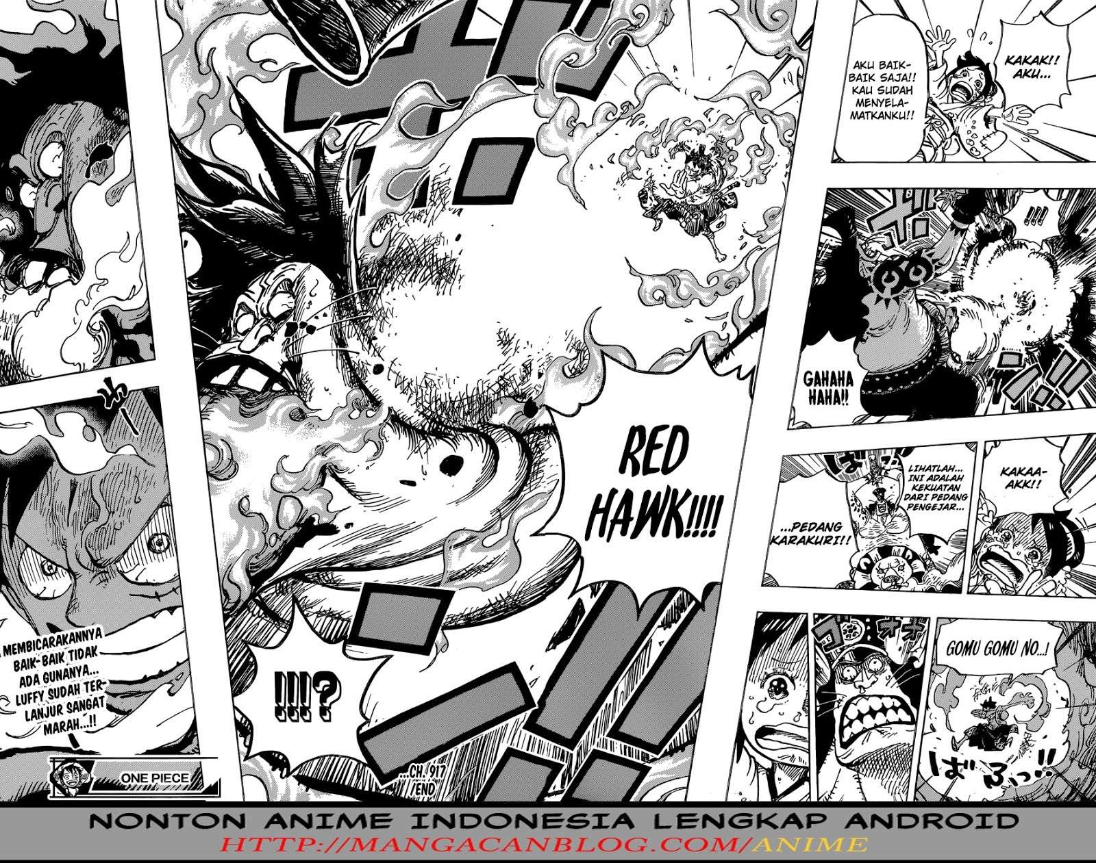 One Piece Chapter 917 page 16