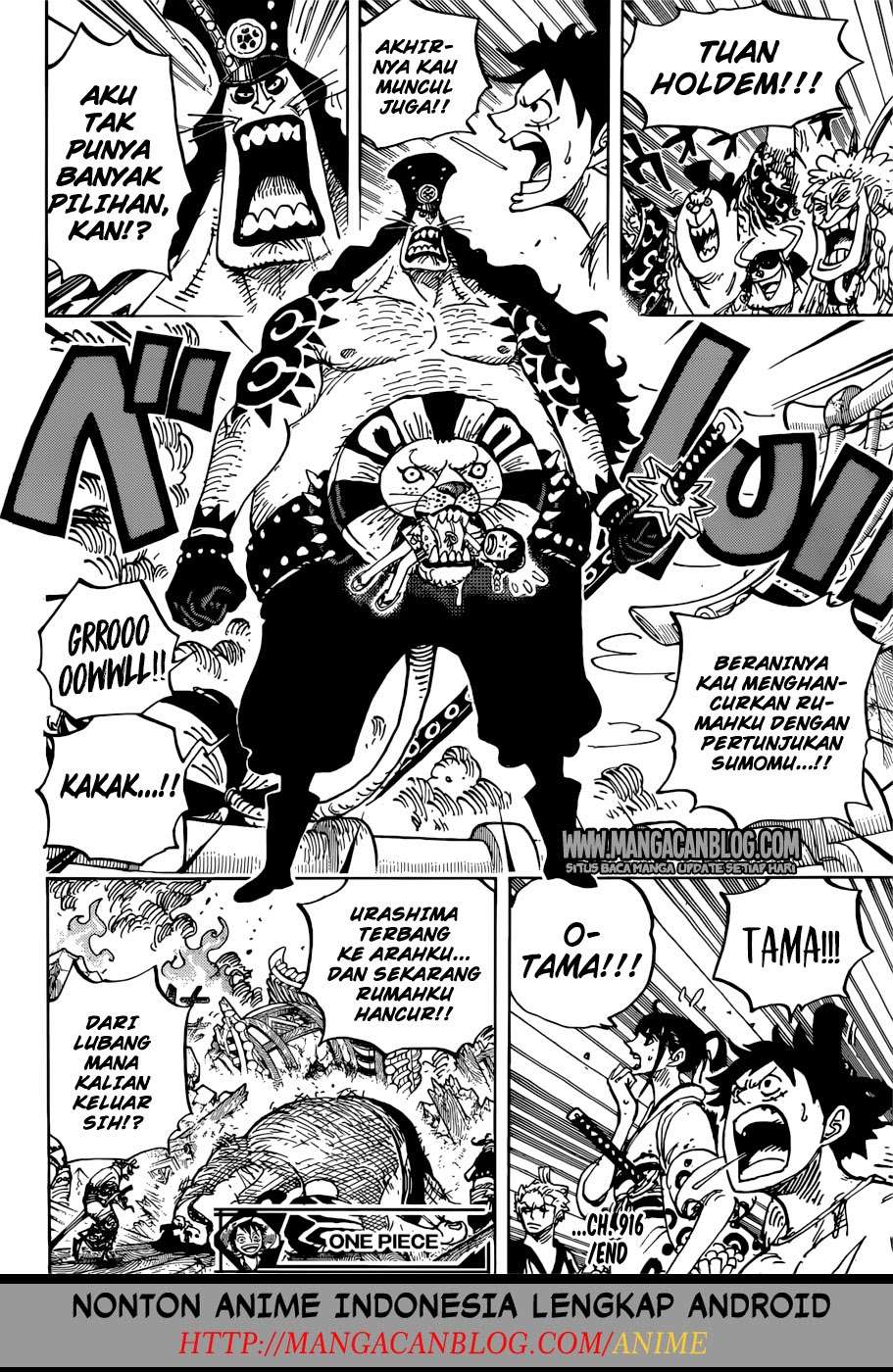 One Piece Chapter 916 page 20
