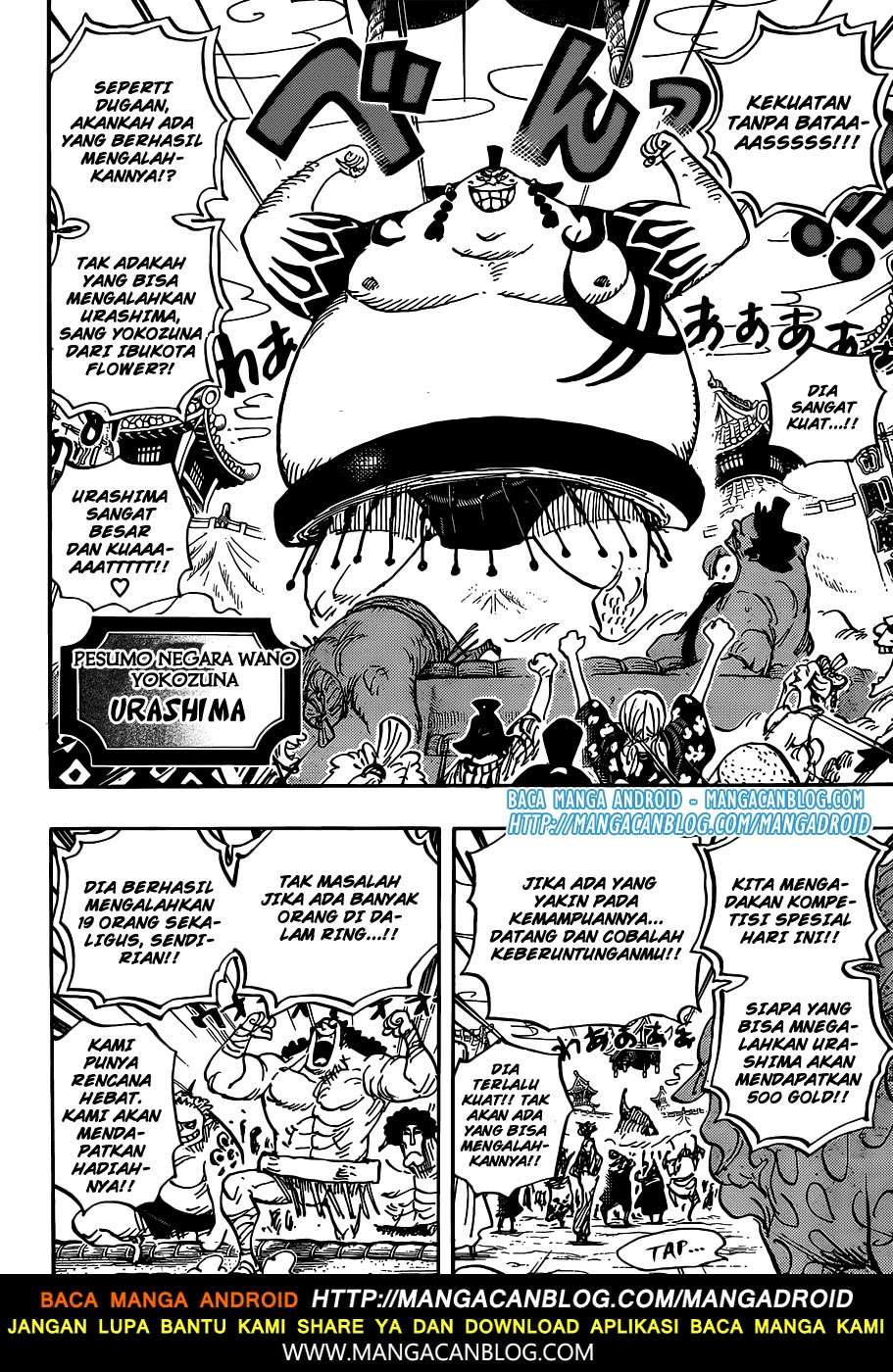 One Piece Chapter 915 page 12