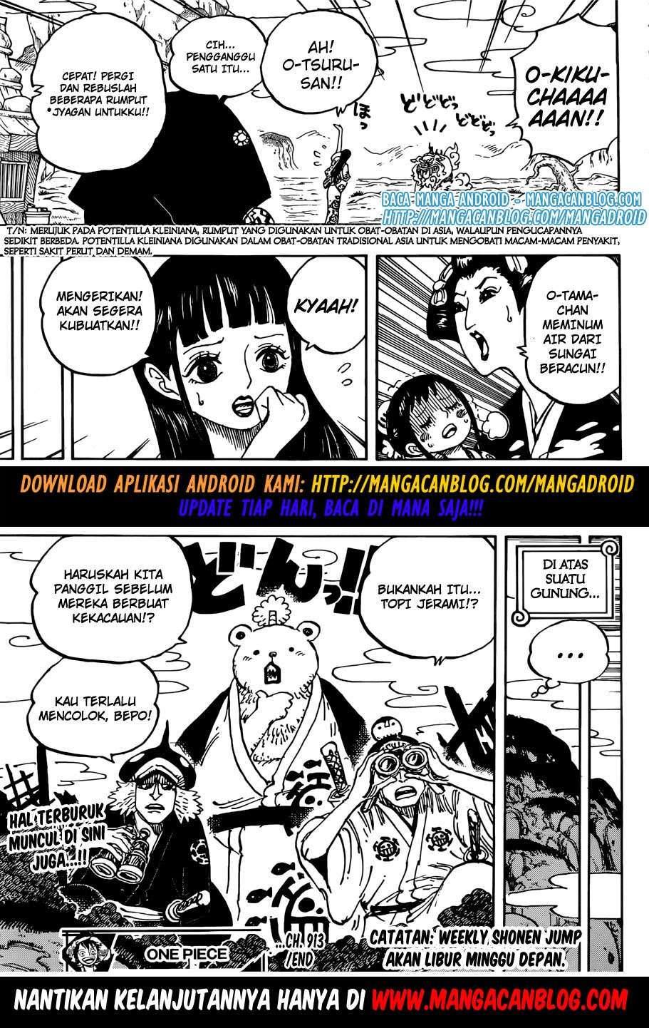 One Piece Chapter 913 page 16