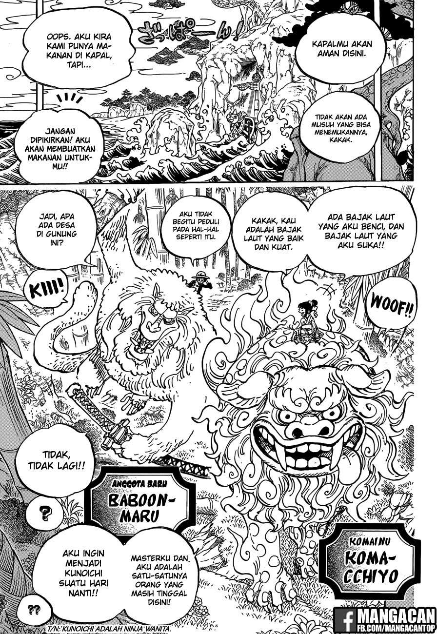 One Piece Chapter 911 page 13