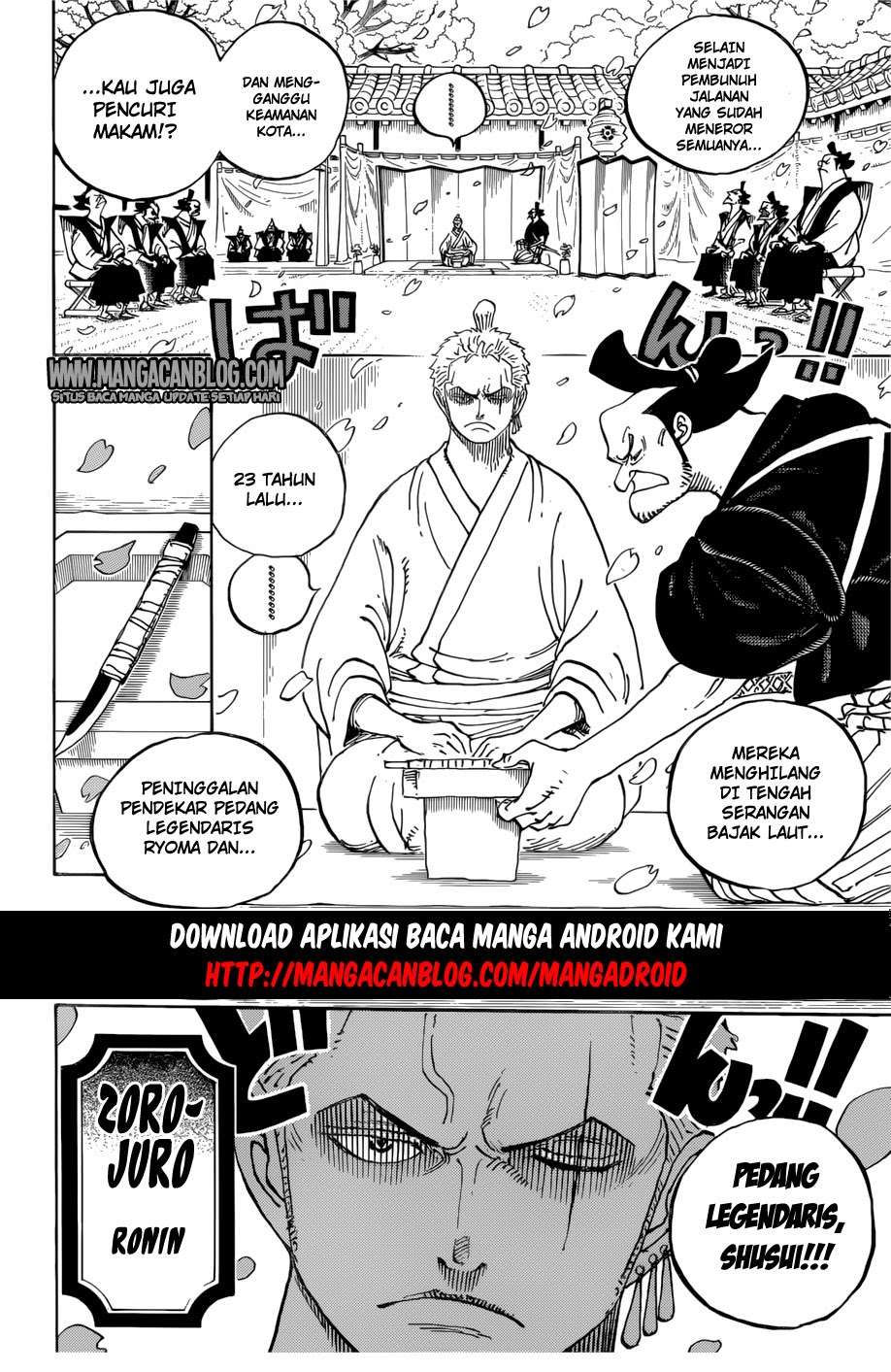 One Piece Chapter 909 page 14