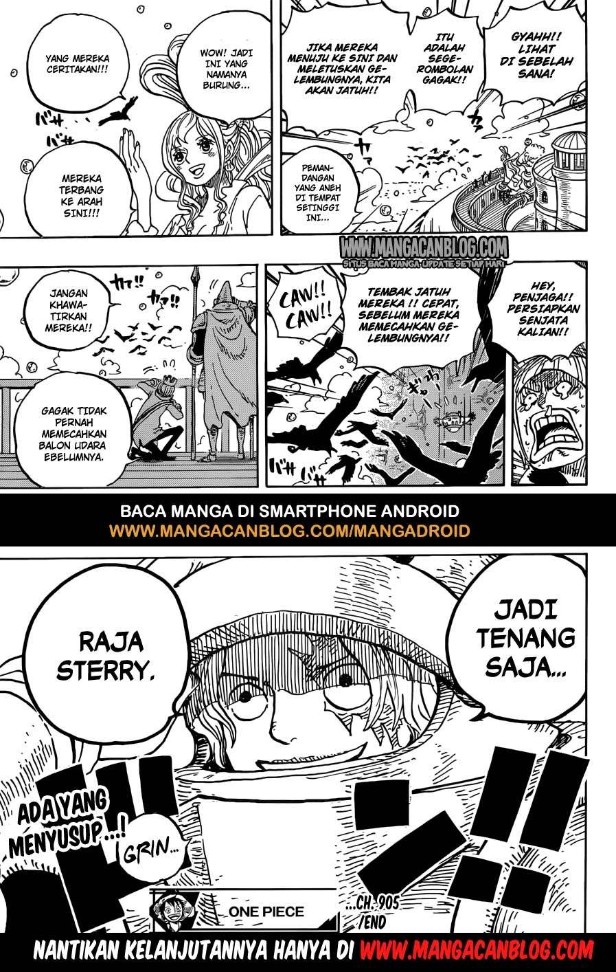 One Piece Chapter 905 page 16