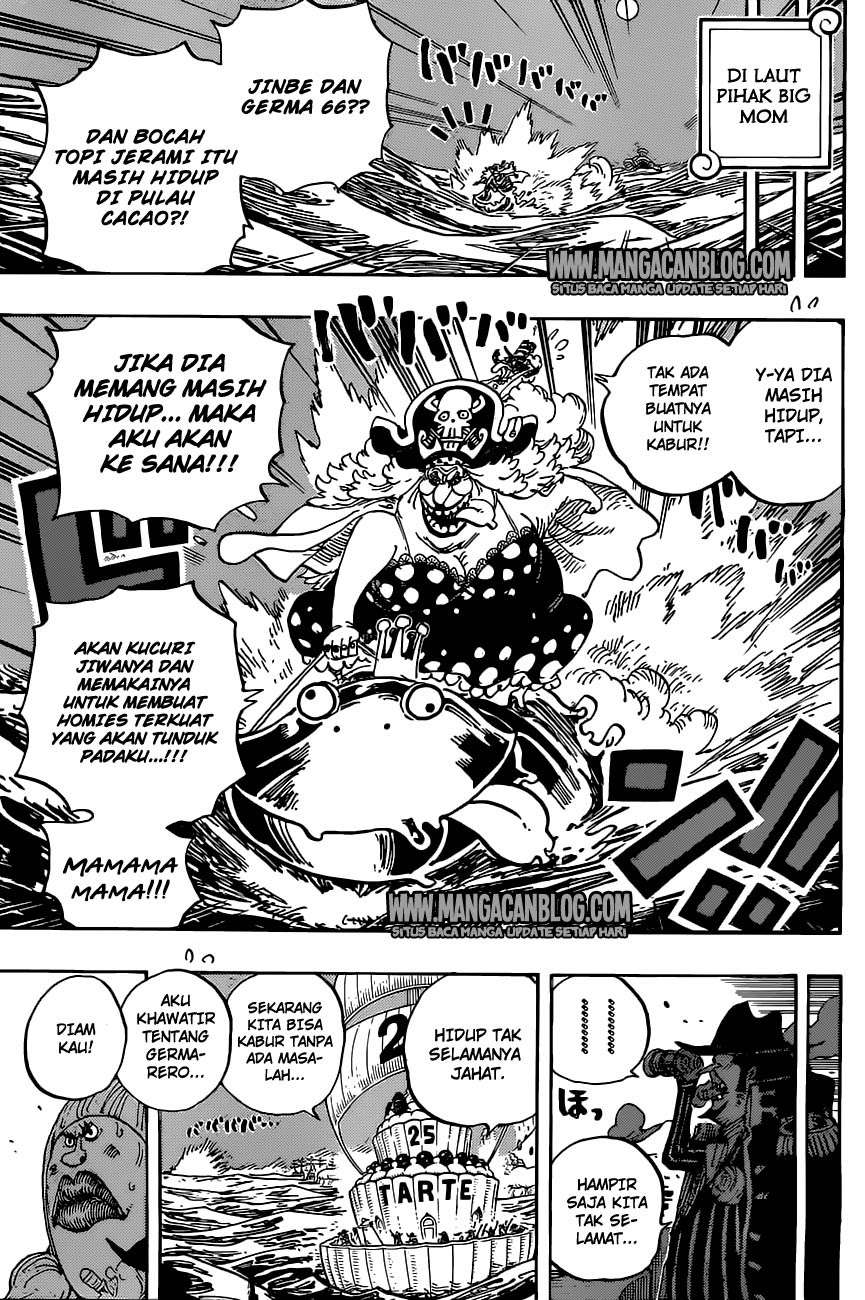 One Piece Chapter 901 page 14