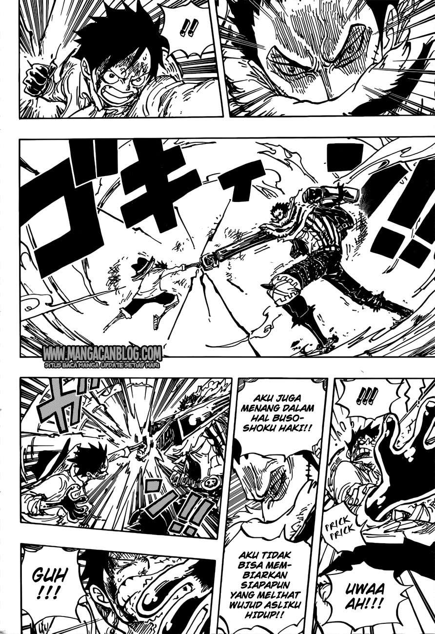 One Piece Chapter 883 page 14