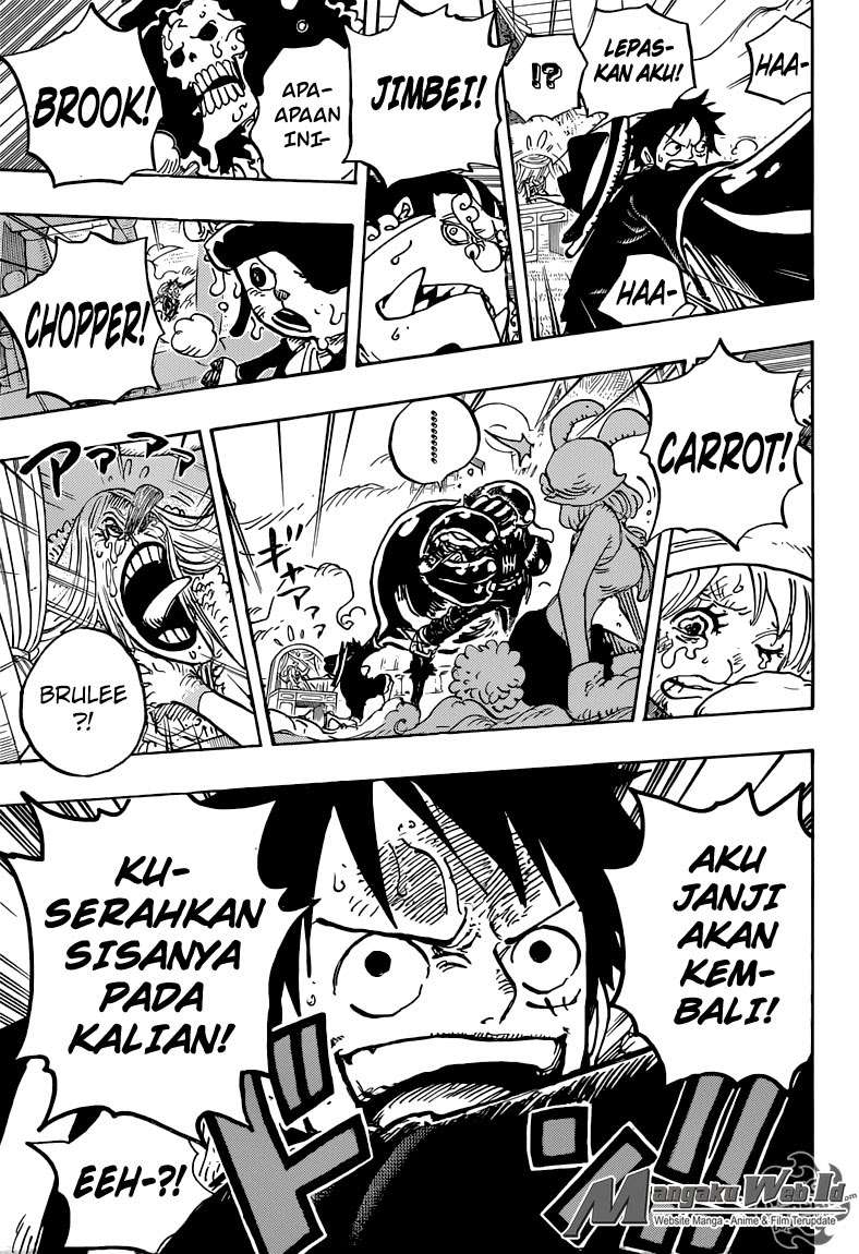 One Piece Chapter 878 page 16