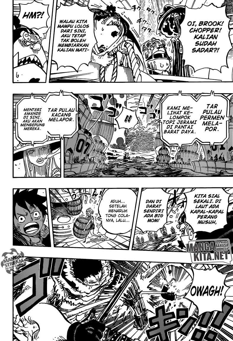 One Piece Chapter 877 page 14