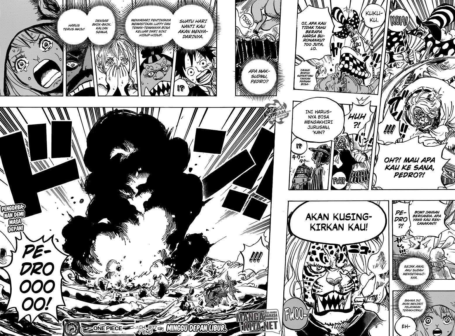 One Piece Chapter 877 page 16